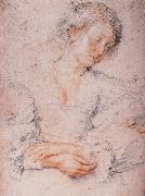 Peter Paul Rubens The Girl painting